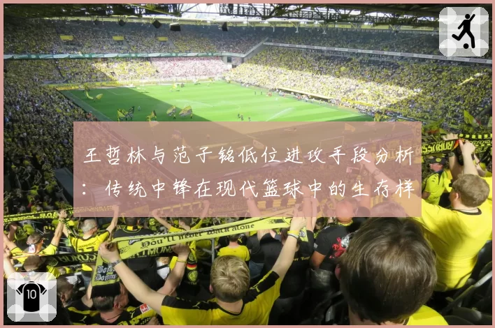 王哲林与范子铭低位进攻手段分析：传统中锋在现代篮球中的生存样本