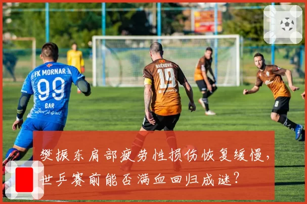 樊振东肩部疲劳性损伤恢复缓慢,世乒赛前能否满血回归成谜?