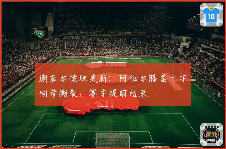 谢菲尔德联更新:阿彻尔膝盖十字韧带撕裂,赛季提前结束