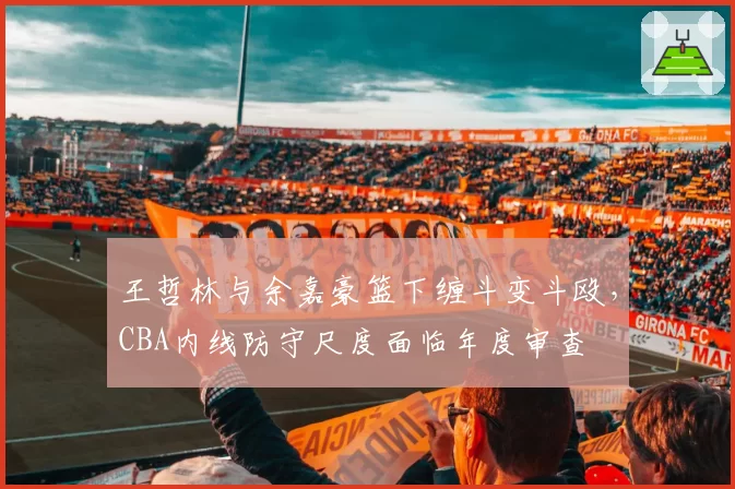 王哲林与余嘉豪篮下缠斗变斗殴,CBA内线防守尺度面临年度审查