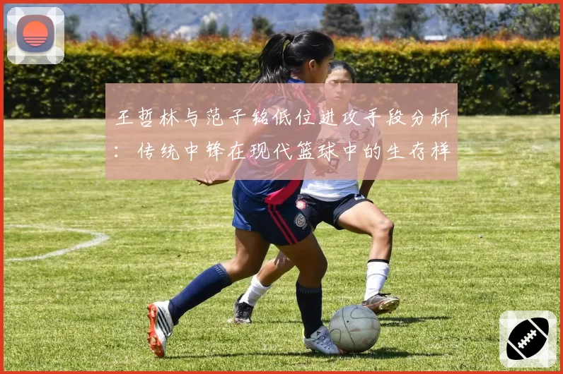 王哲林与范子铭低位进攻手段分析：传统中锋在现代篮球中的生存样本