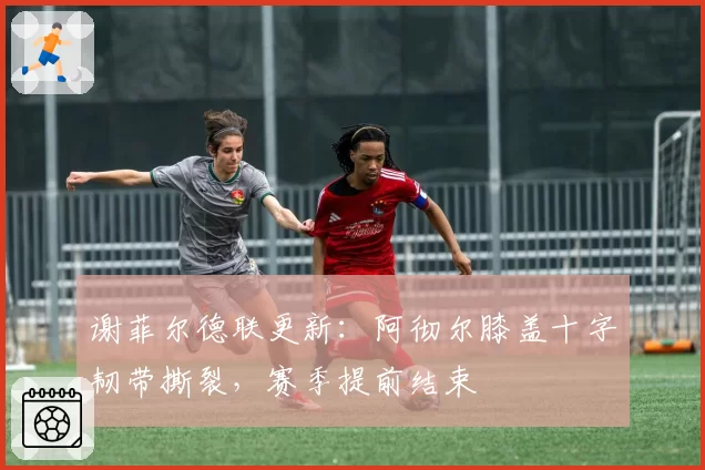 谢菲尔德联更新:阿彻尔膝盖十字韧带撕裂,赛季提前结束