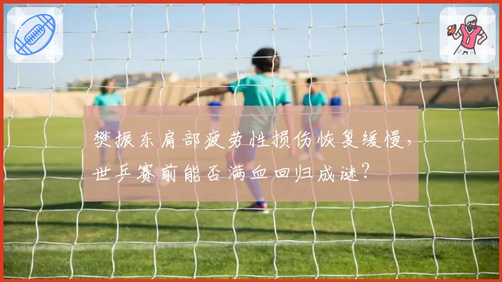 樊振东肩部疲劳性损伤恢复缓慢,世乒赛前能否满血回归成谜?