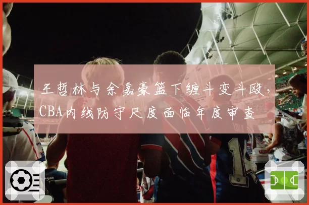 王哲林与余嘉豪篮下缠斗变斗殴,CBA内线防守尺度面临年度审查
